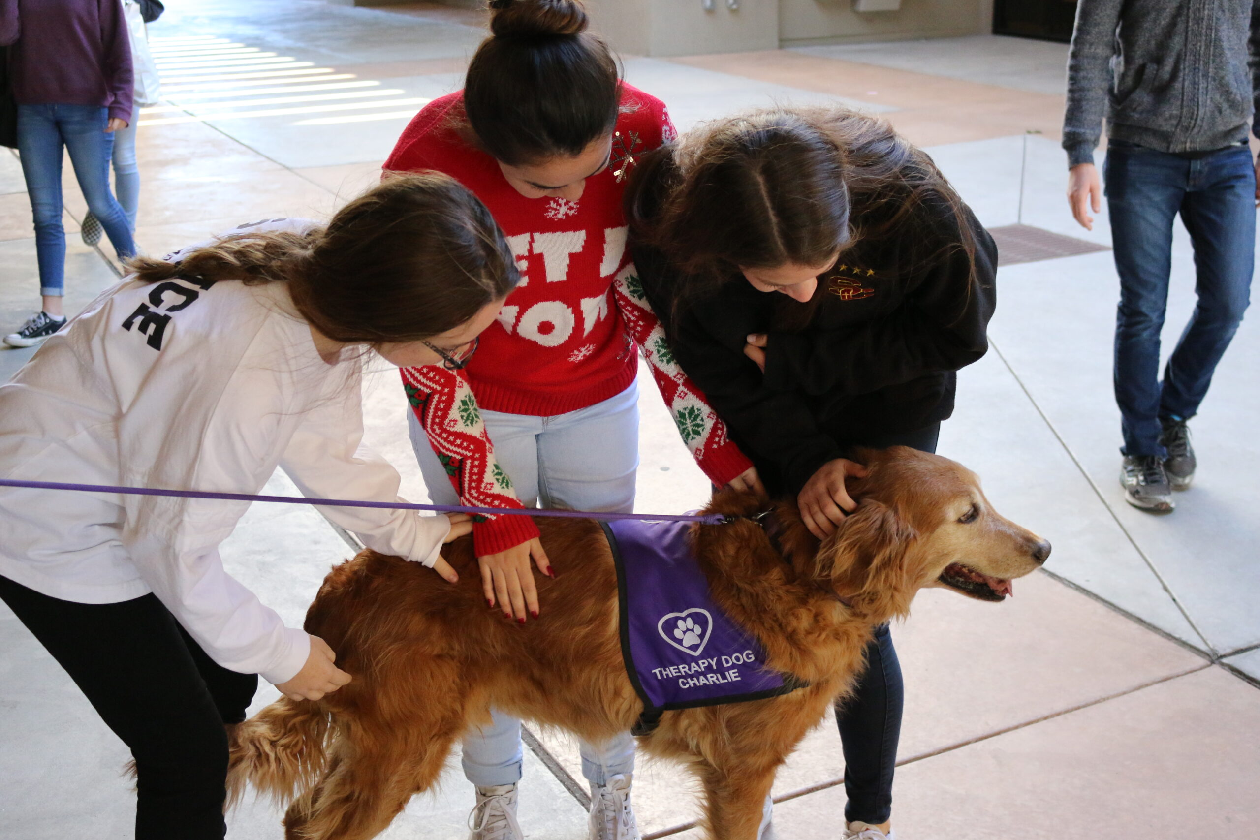 Student with a therapy dog