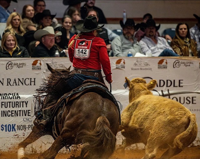 Addie Tomlinson horse rodeo